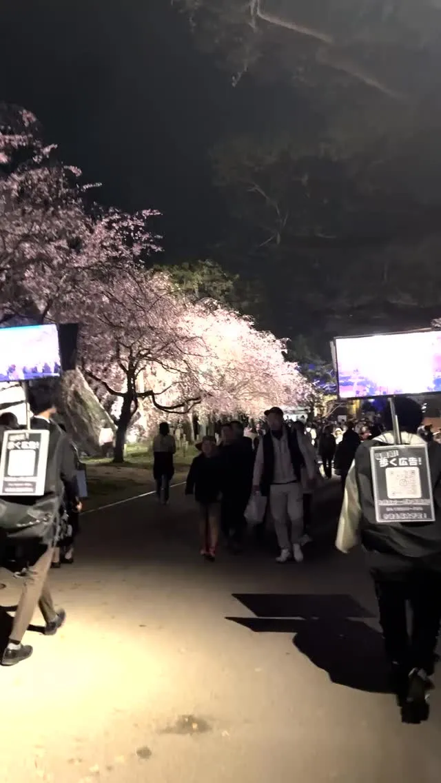 日本初のコミュニケーションメディア！